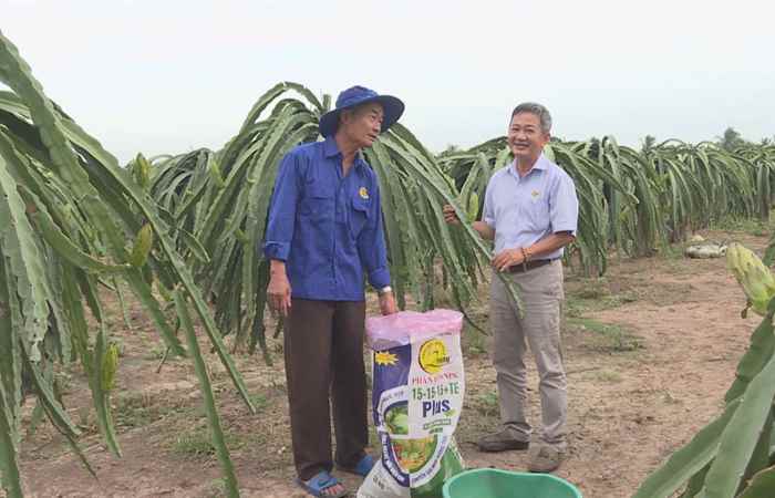 Chuyên mục 2 Phong - Phân bón 2 Phong chuyên dùng cho cây ăn trái  (21-08-2020)